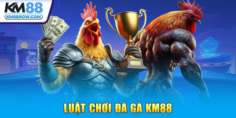 Luật chơi đá gà km88 