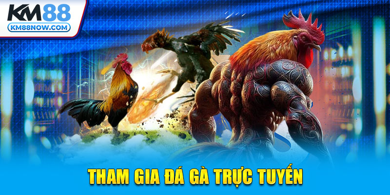 Tham gia Đá Gà trực tuyến